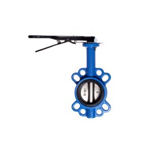 BUTTERFLY VALVE WITH DI DISC