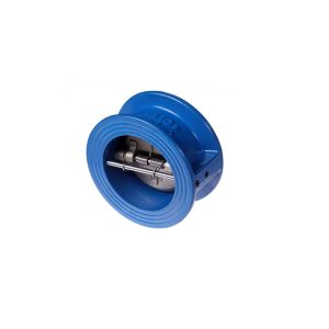 WAFER CHECK VALVE WITH DI DISC